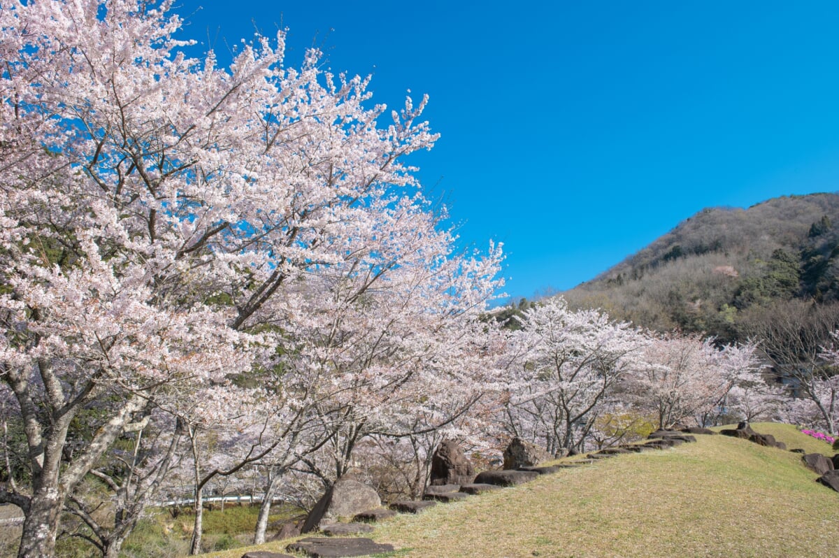 耶馬溪ダム記念公園の写真6