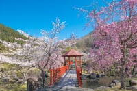 耶馬溪ダム記念公園