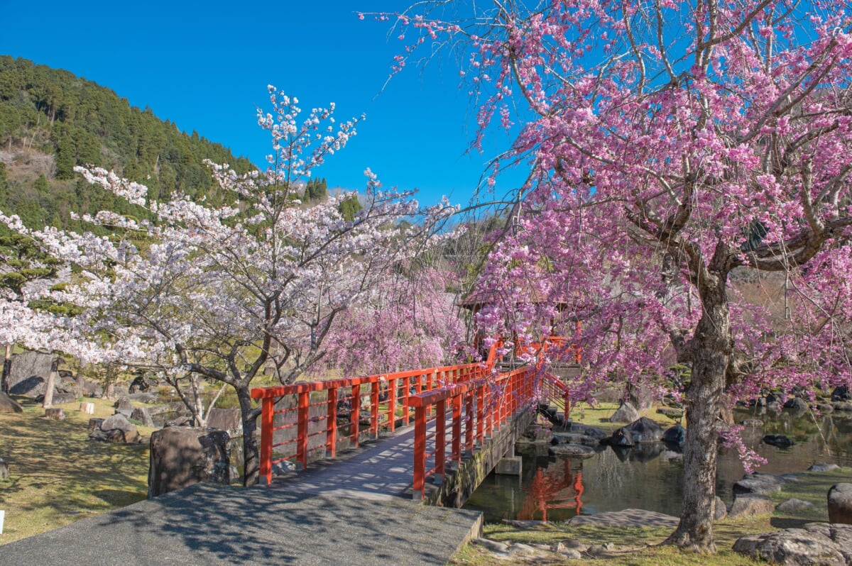 耶馬溪ダム記念公園の写真9