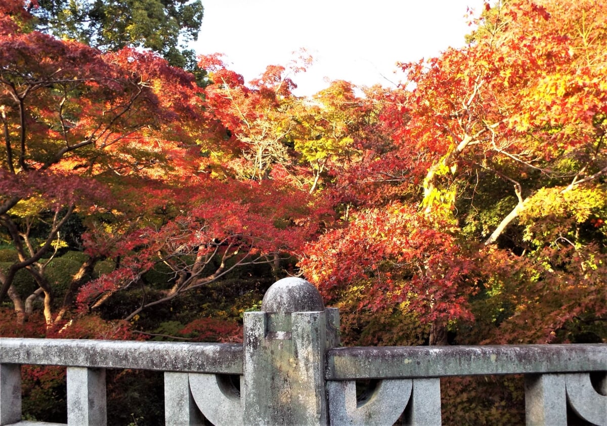 毛利氏庭園の写真4