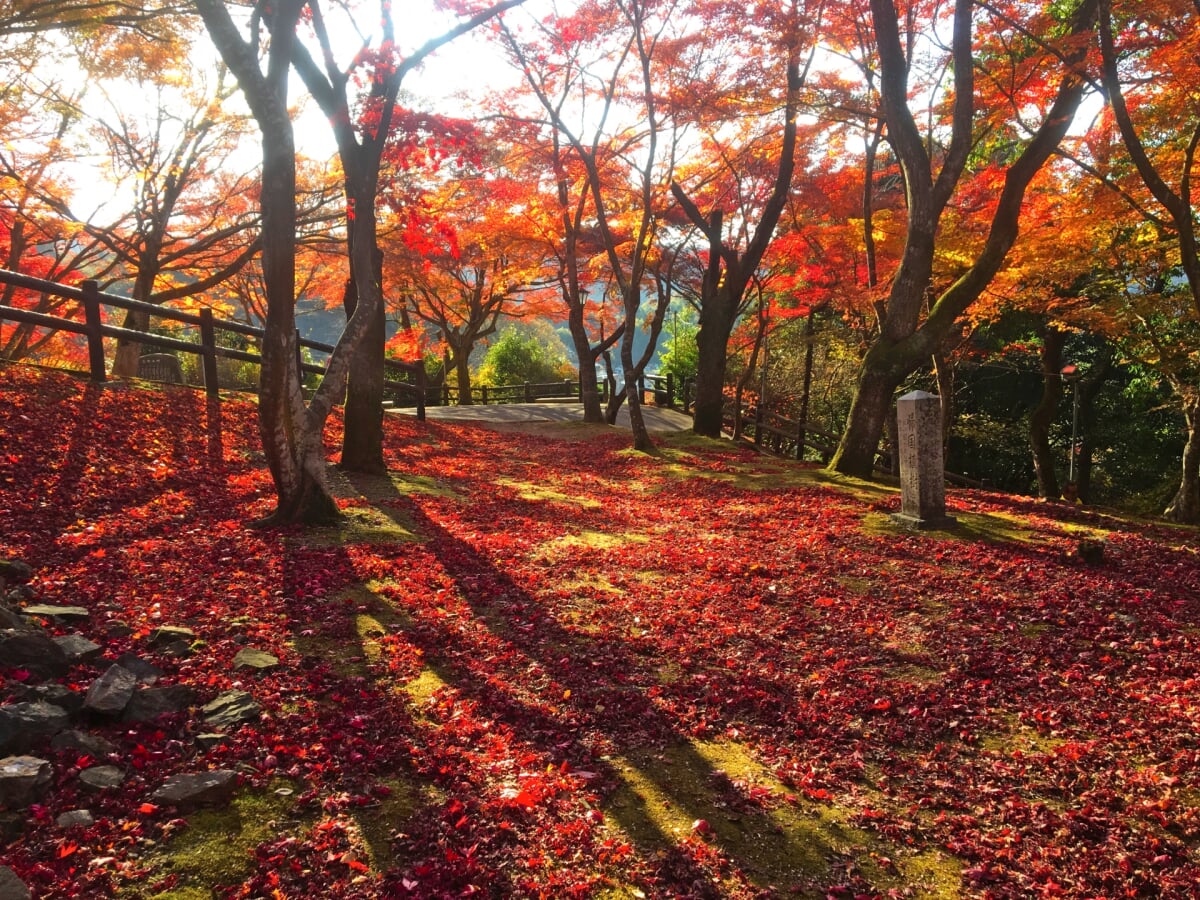 尾関山公園の写真2