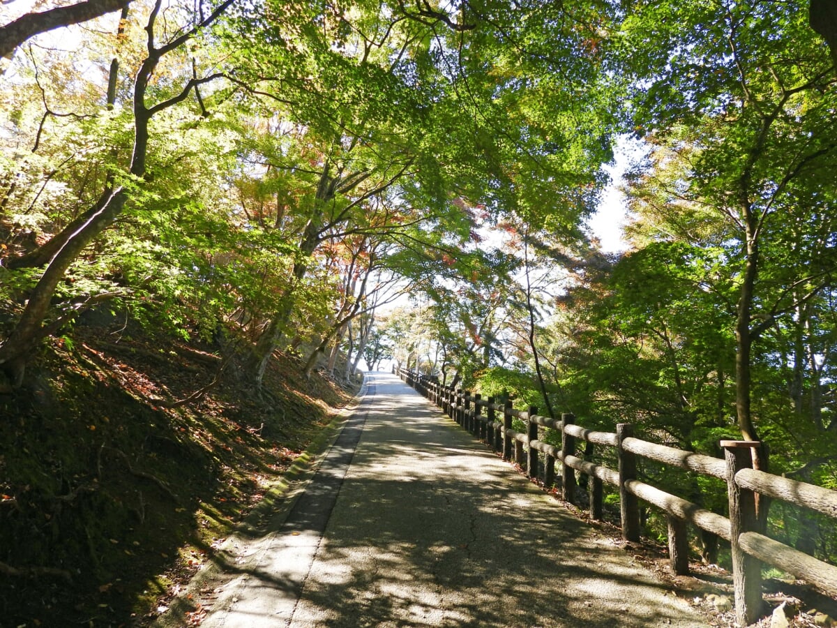 尾関山公園の写真4