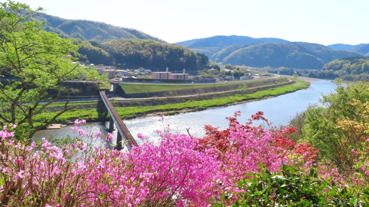 尾関山公園の写真6