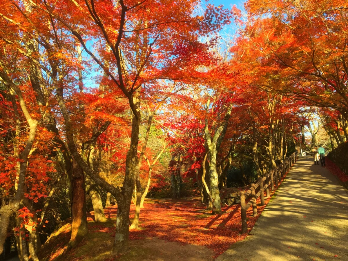 尾関山公園の写真7