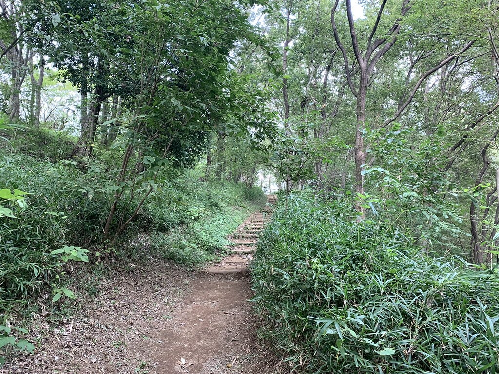 長池公園の写真2