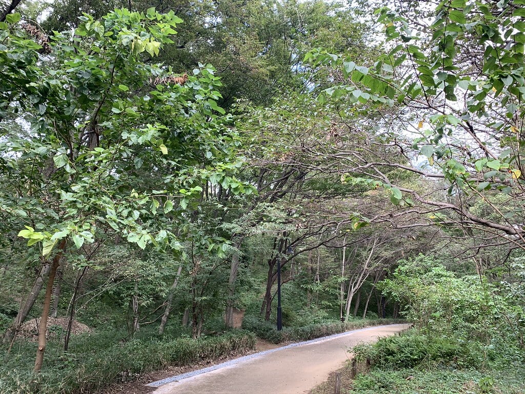 長池公園の写真8