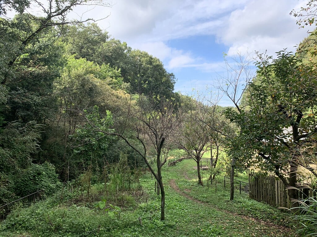 長池公園の写真10