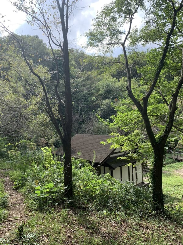 長池公園の写真11