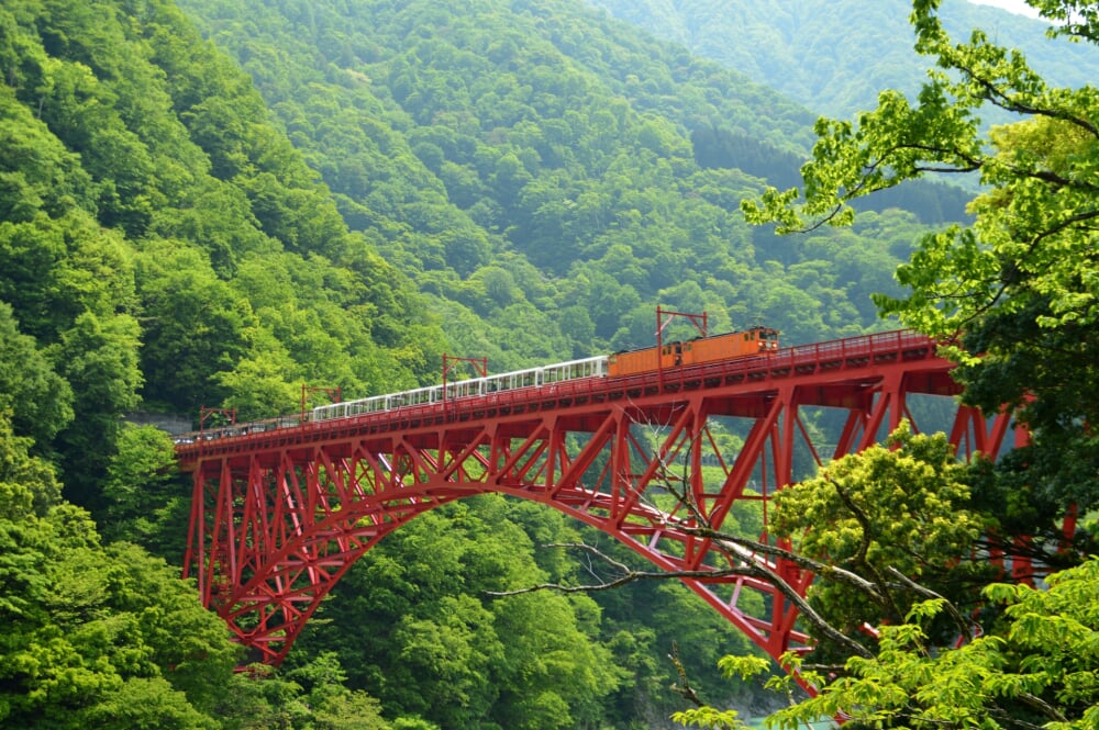 立山黒部アルペンルートの写真3