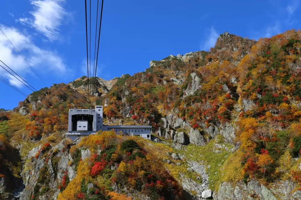 立山黒部アルペンルートの写真1