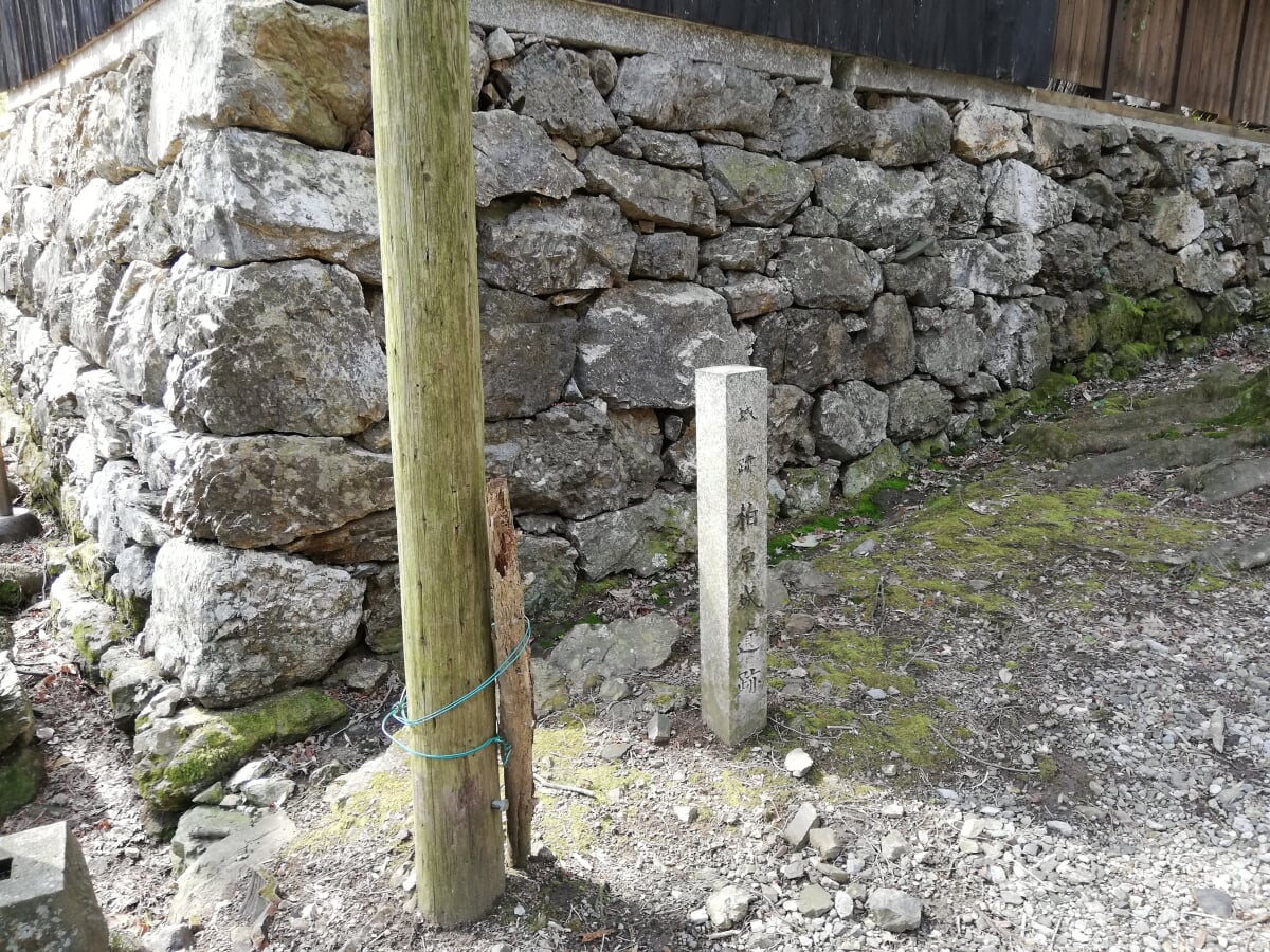 清瀧寺徳源院の写真2