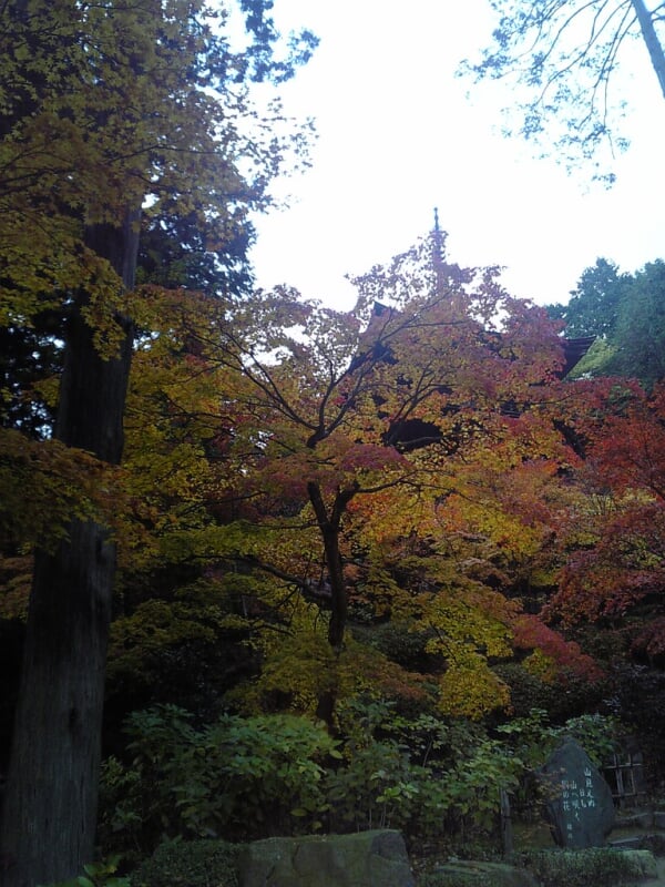 金剛輪寺の写真3