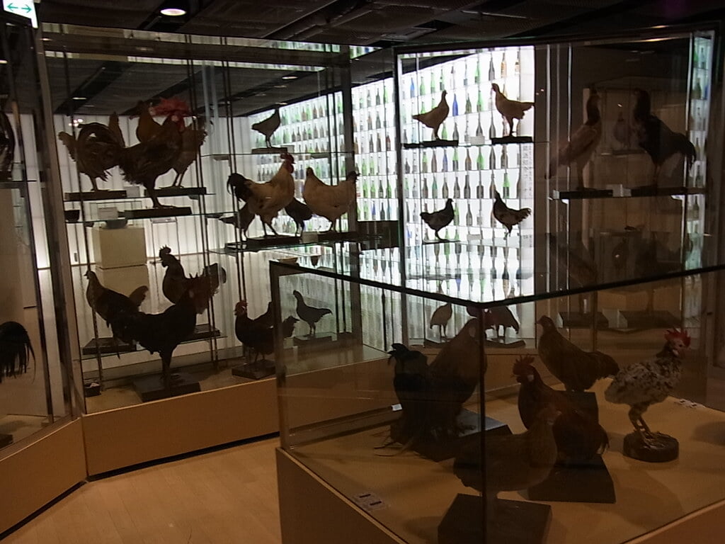 東京農業大学「食と農」の博物館の写真3