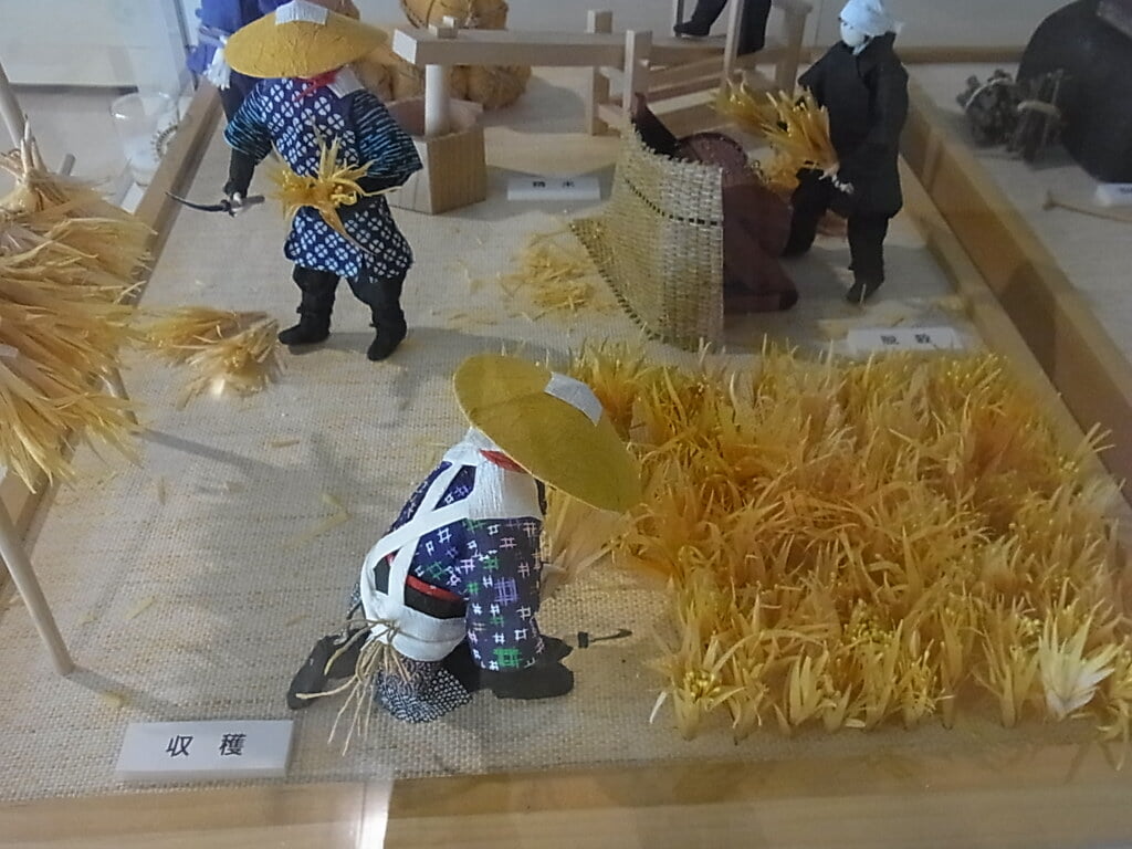 東京農業大学「食と農」の博物館の写真5