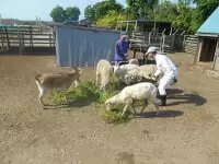 松幸農産 これから村