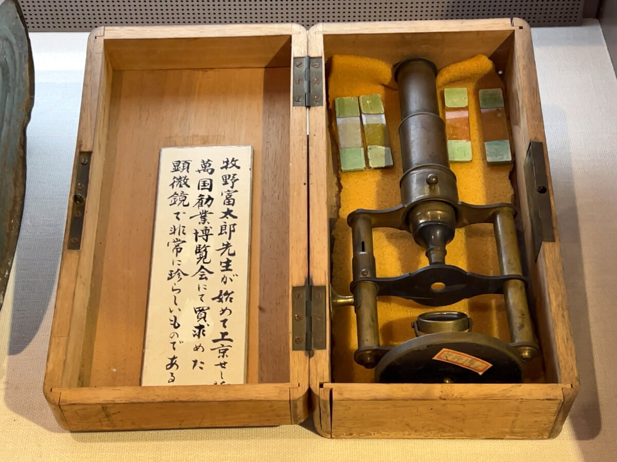 牧野記念庭園記念館の写真2