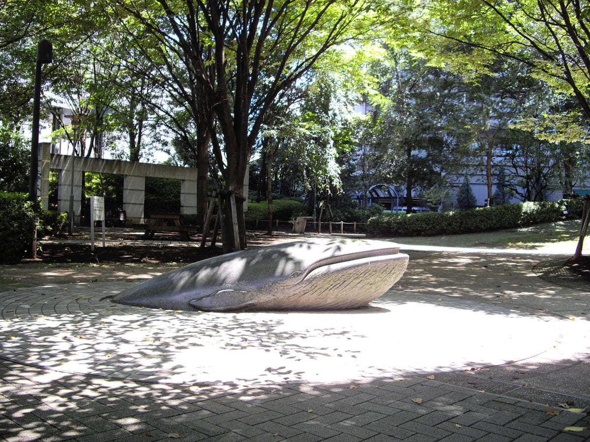 居木橋公園の写真1