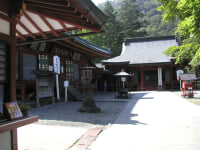 日光山中禅寺 立木観音