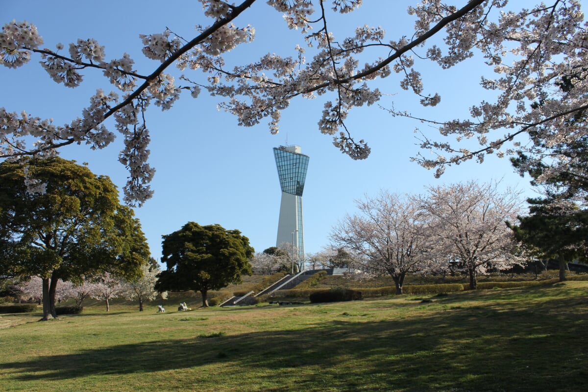 いわきマリンタワーの写真2