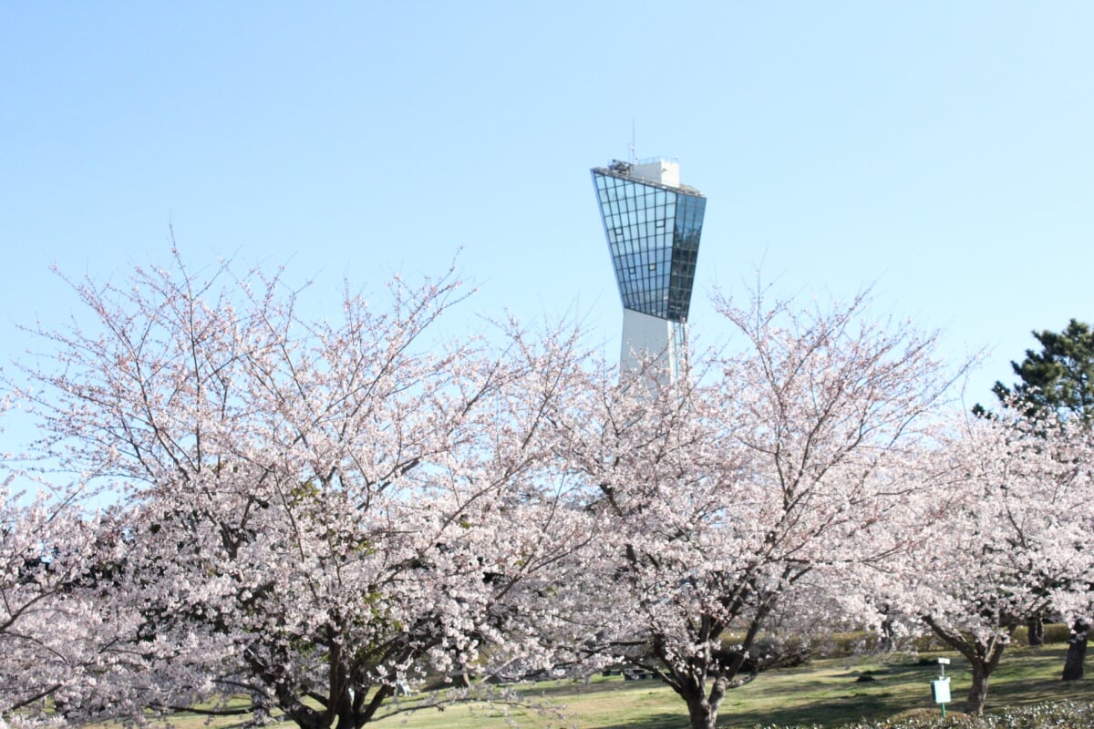いわきマリンタワーの写真4