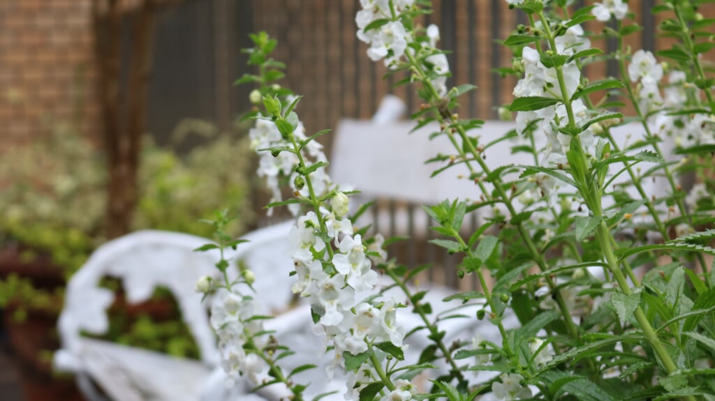 名城公園フラワープラザの写真2