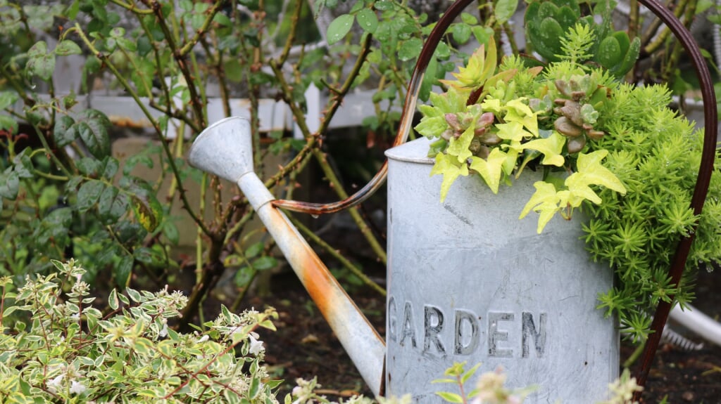 名城公園フラワープラザの写真3