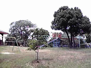 ともやま公園の写真1