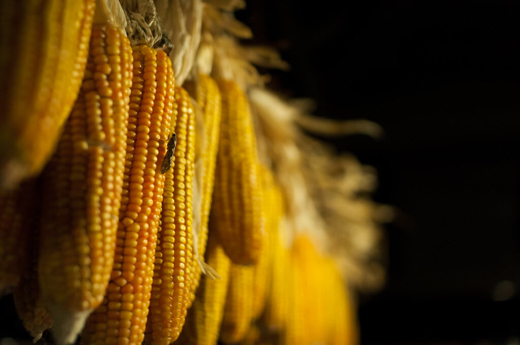 箱根湯寮の写真6