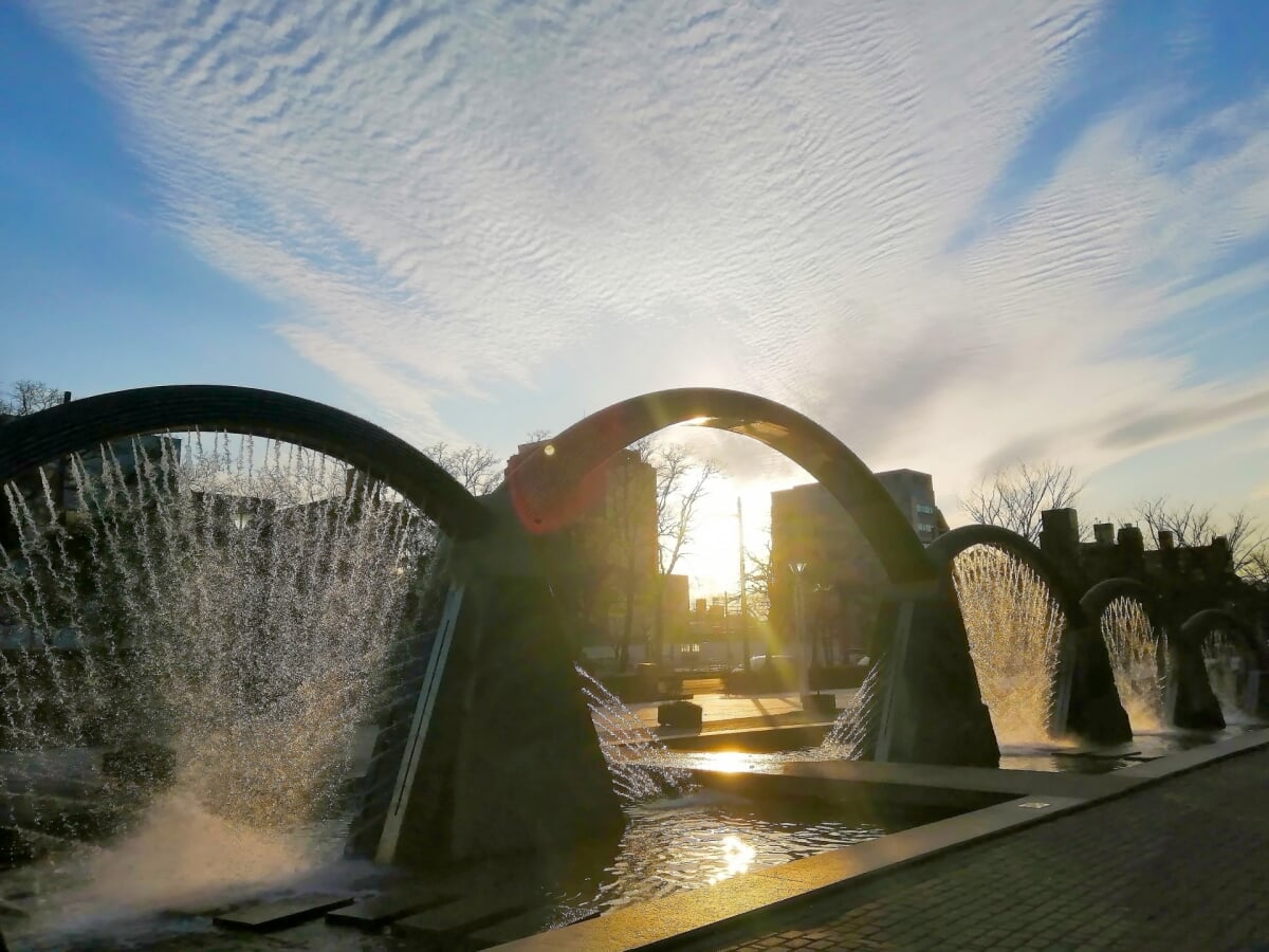 四日市市民公園の写真2