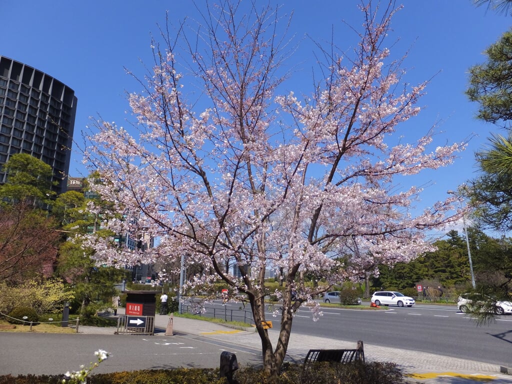 国立劇場の写真12