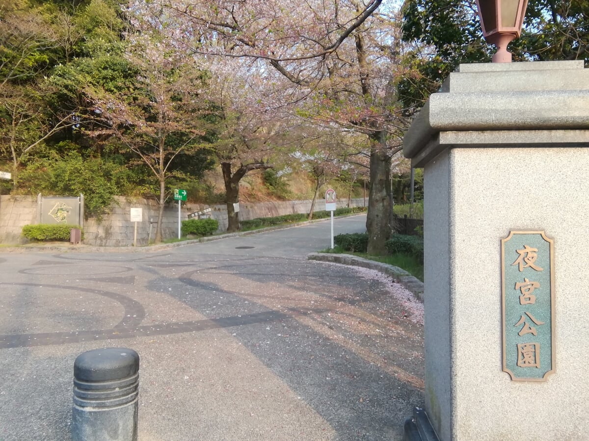 夜宮公園の写真1