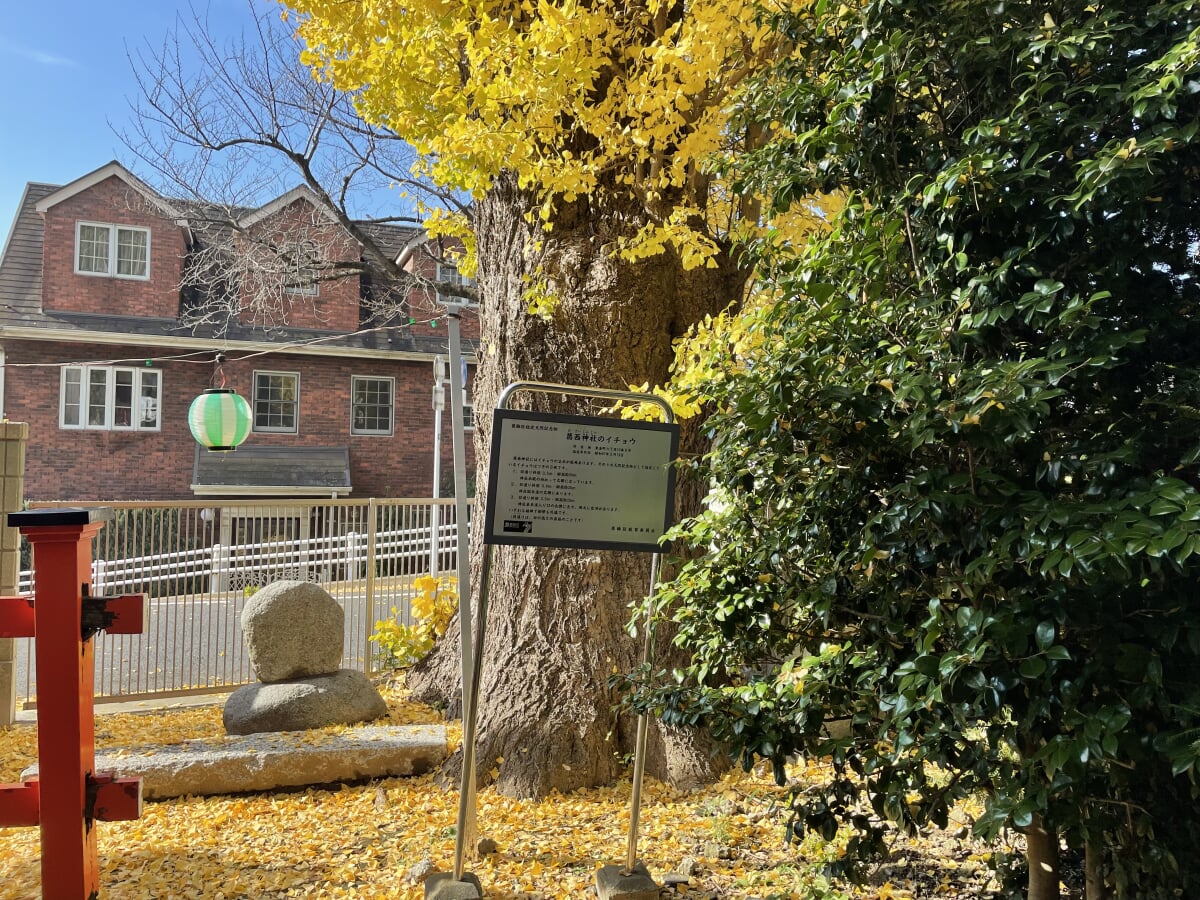 葛西神社の写真5