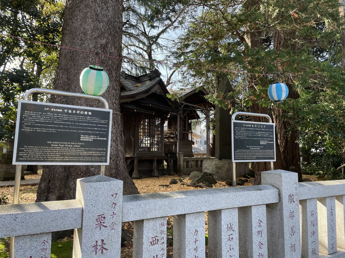 葛西神社の写真6