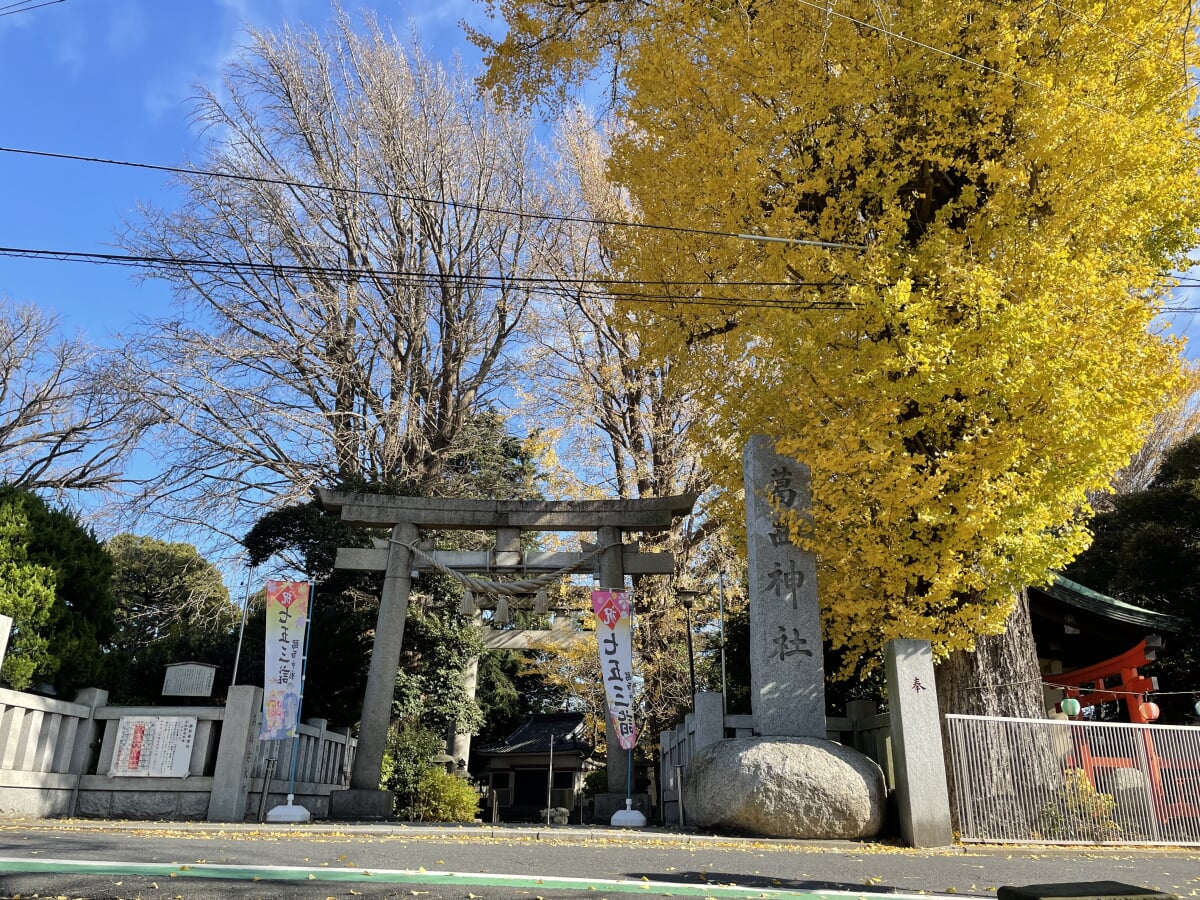 葛西神社の写真13