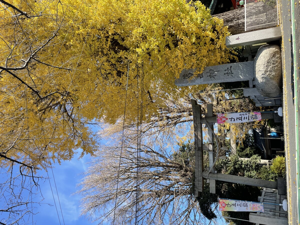 葛西神社の写真24