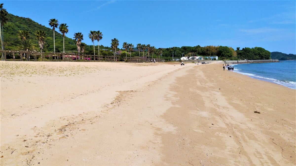 県民の浜海水浴場の写真3