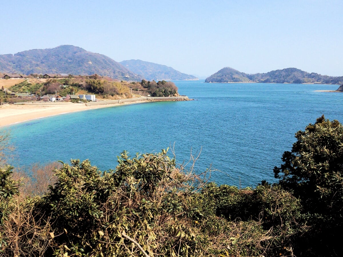 県民の浜海水浴場の写真4