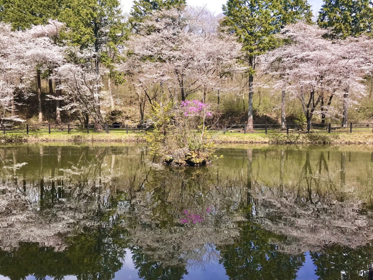 丸火自然公園の写真4