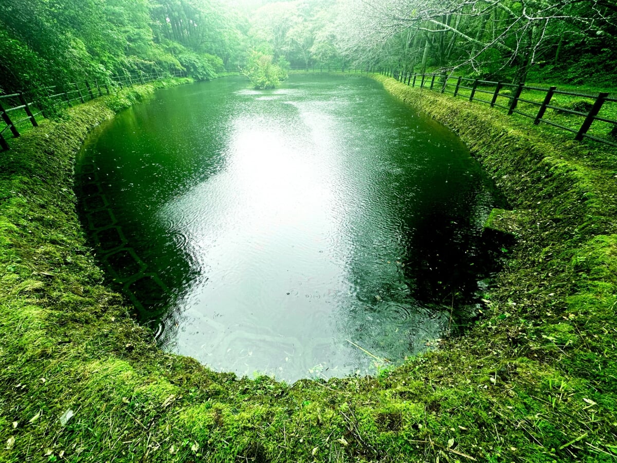 丸火自然公園の写真5