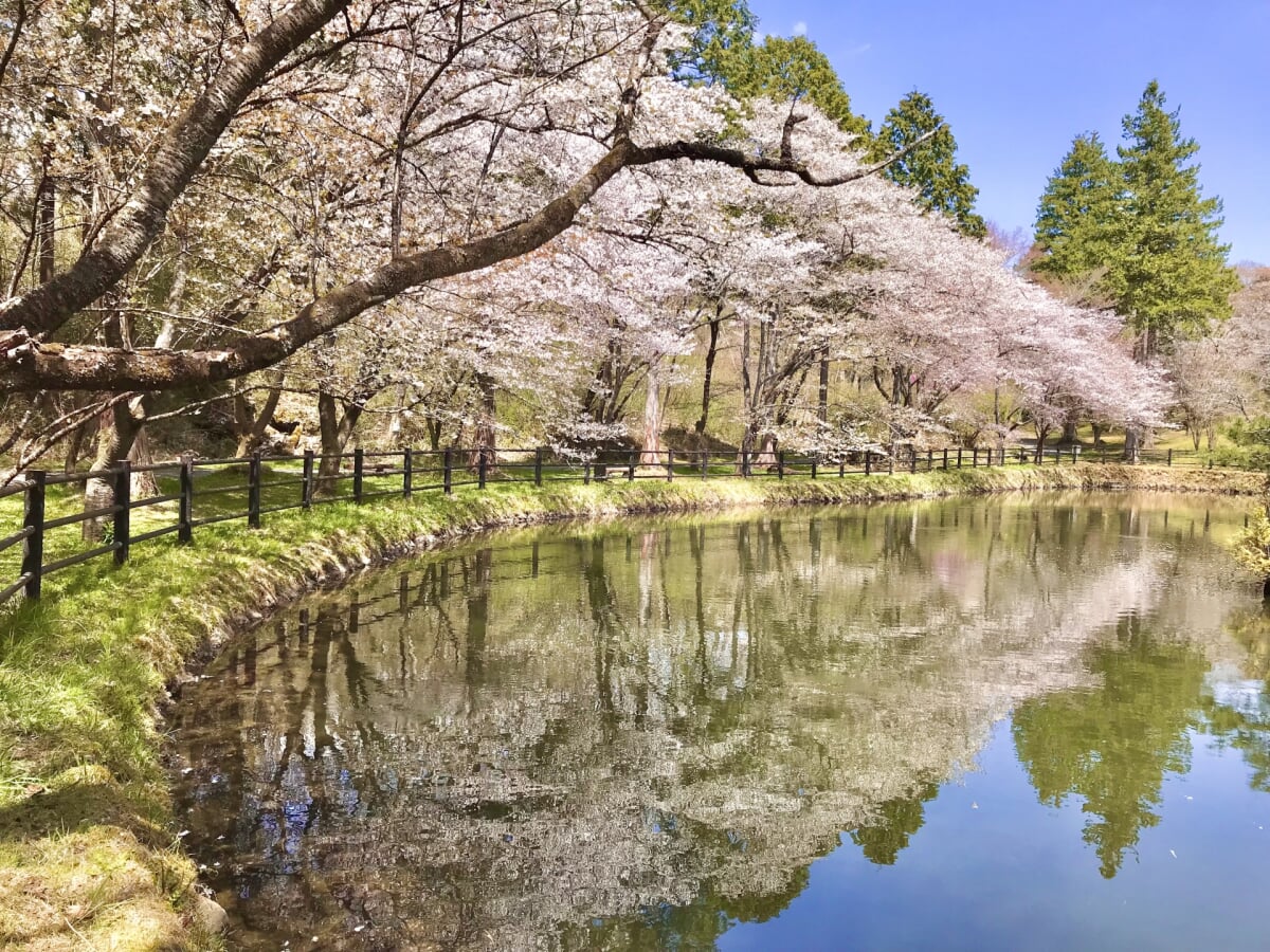 丸火自然公園の写真1