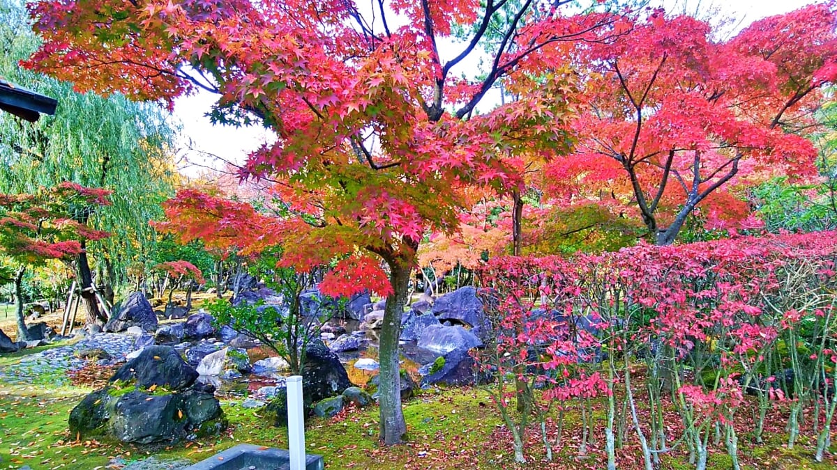 新潟県立鳥屋野潟公園 女池地区・鐘木地区の写真2