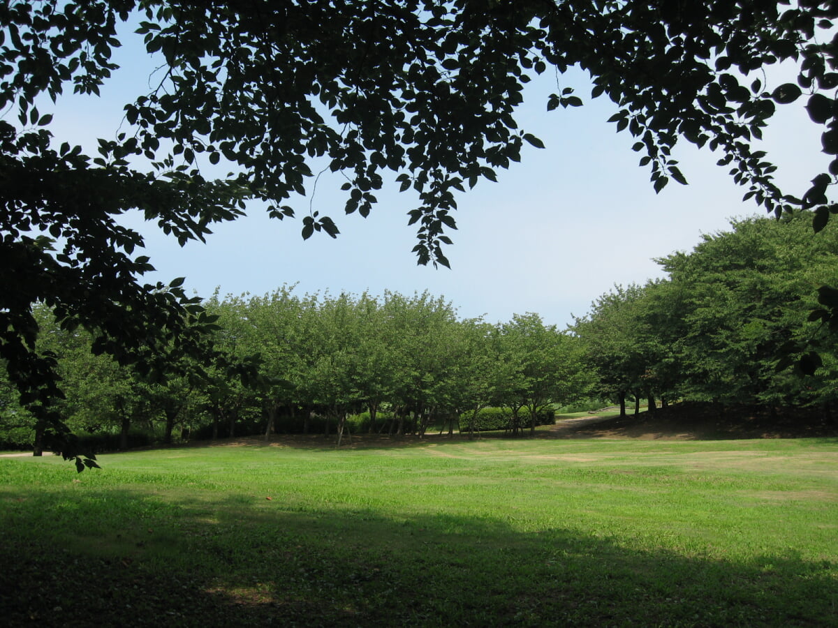 新潟県立鳥屋野潟公園 女池地区・鐘木地区の写真3