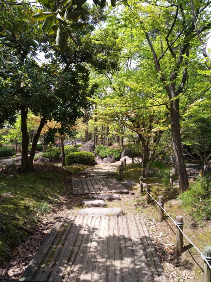 新潟県立鳥屋野潟公園 女池地区・鐘木地区の写真5