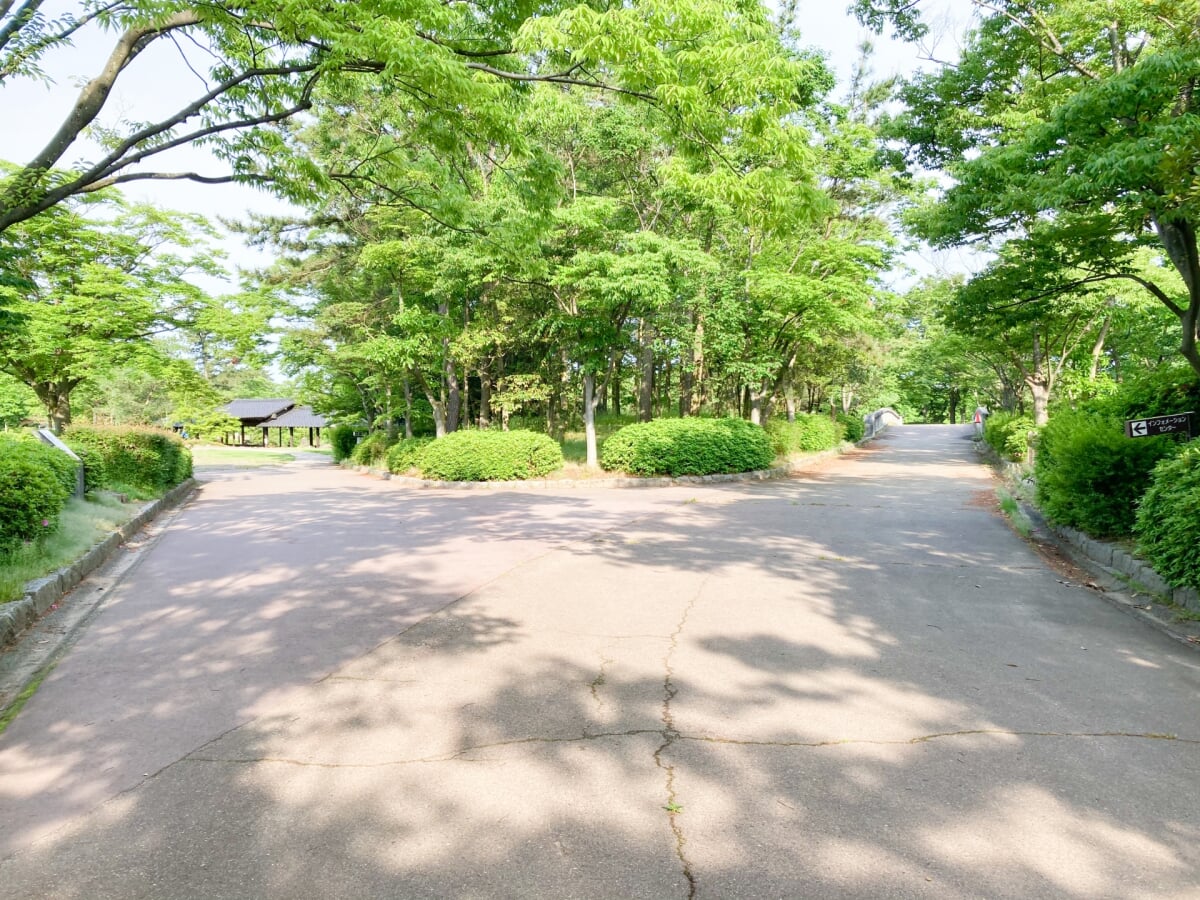 新潟県立鳥屋野潟公園 女池地区・鐘木地区の写真7