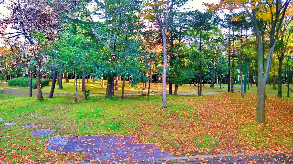 新潟県立鳥屋野潟公園 女池地区・鐘木地区の写真8