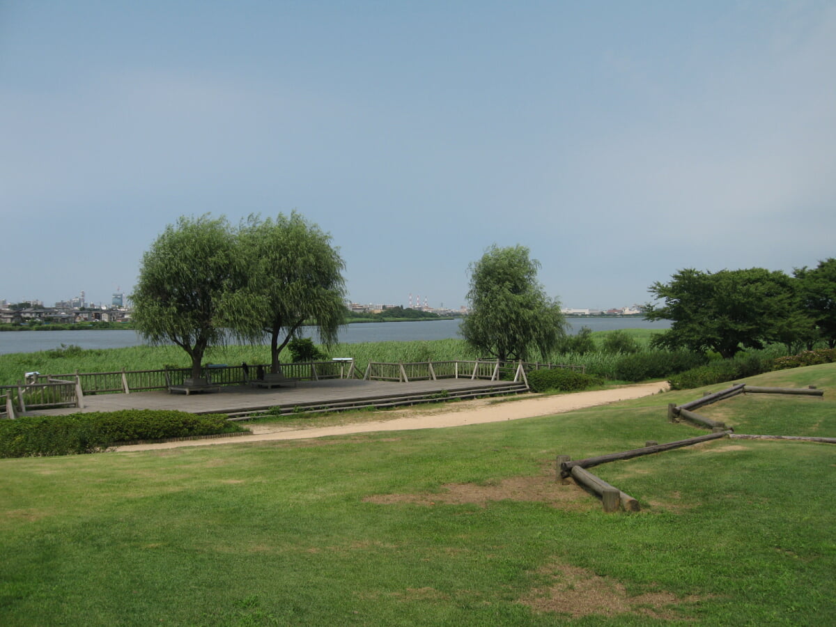 新潟県立鳥屋野潟公園 女池地区・鐘木地区の写真9