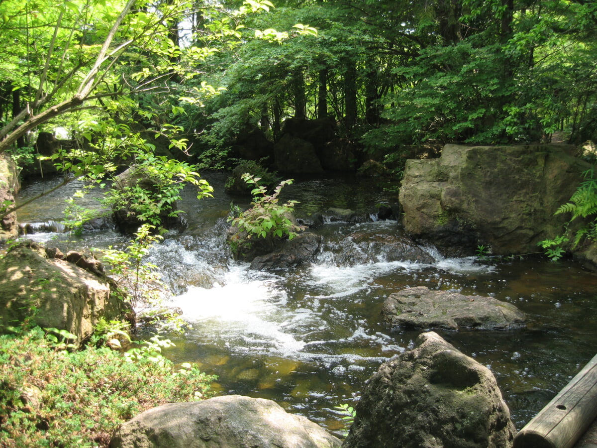 新潟県立鳥屋野潟公園 女池地区・鐘木地区の写真10