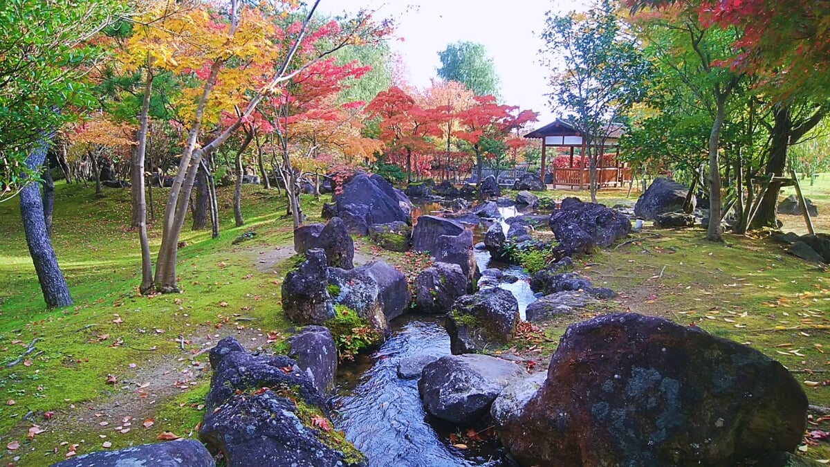 新潟県立鳥屋野潟公園 女池地区・鐘木地区の写真12