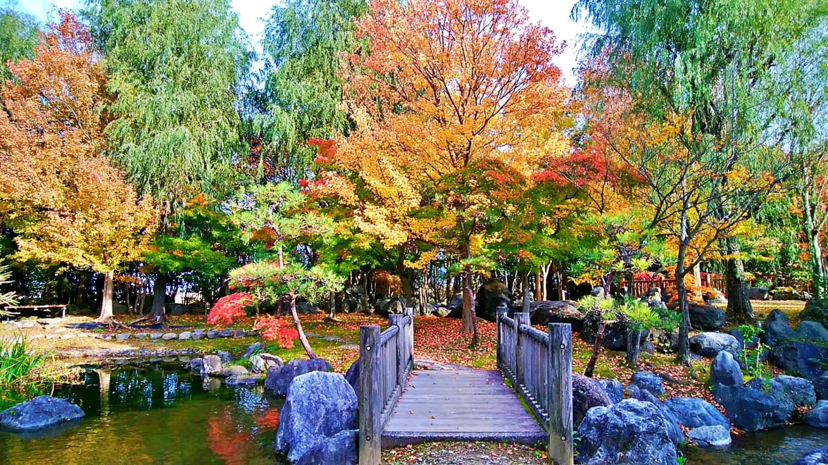 新潟県立鳥屋野潟公園 女池地区・鐘木地区の写真13