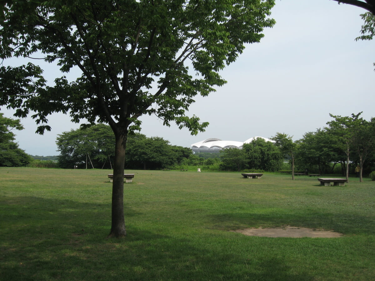 新潟県立鳥屋野潟公園 女池地区・鐘木地区の写真14